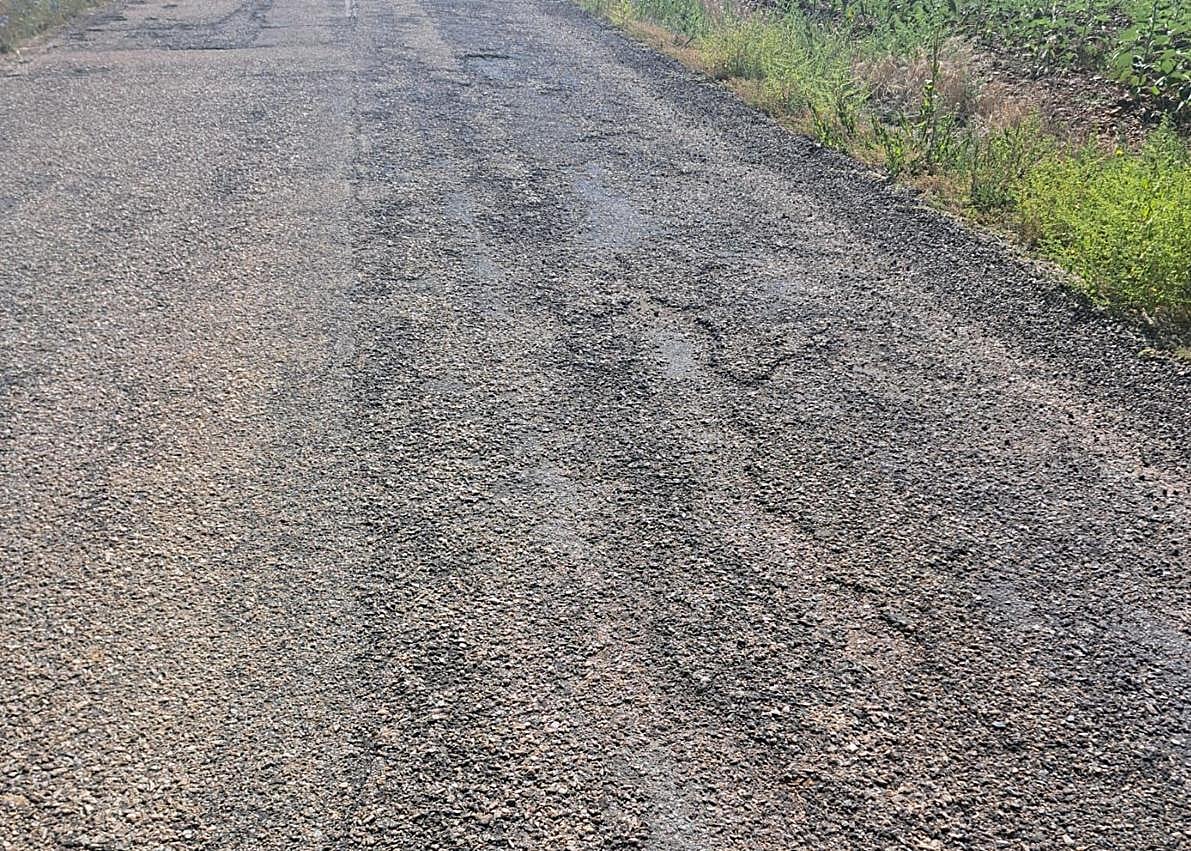 Imagen secundaria 1 - Estado de la carretera que une Izagre con la N-601.
