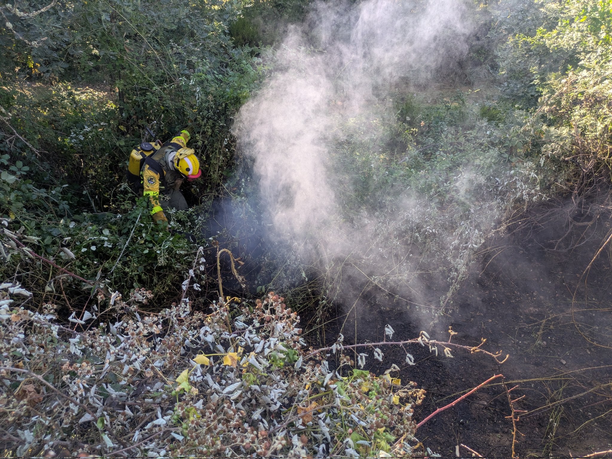 Así ha sido el incendio junto a Santa Colomba de Somoza