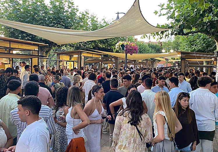 Vigésimo tercera edición de la Feria DO en Valencia de Don Juan