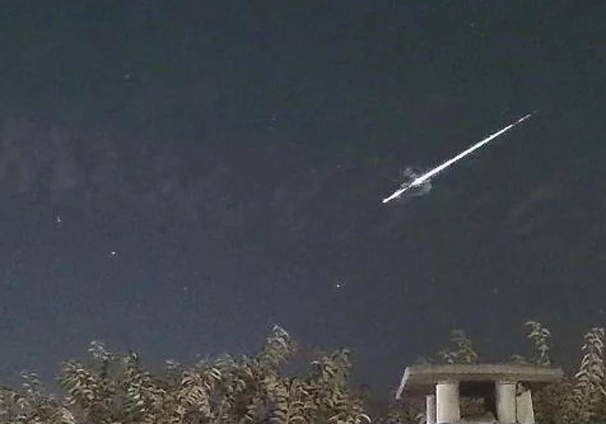 Uno de los últimos avistamientos en la península.