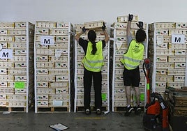 Sexta campaña de la campaña 'Ningún hogar sin alimentos'.