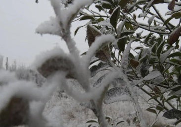 El punto de León que registra más de diez noches bajo cero en pleno julio
