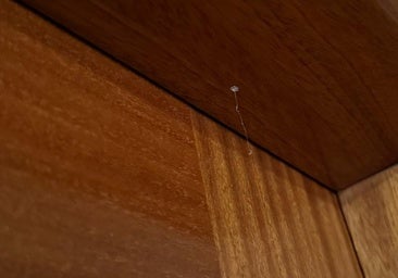 Varios robos en el barrio de Santa Ana con el 'método silicona' alertan a los vecinos