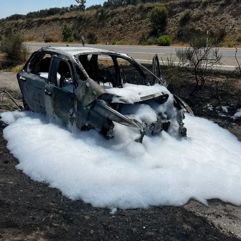 Imagen del coche calcinado tras el accidente.