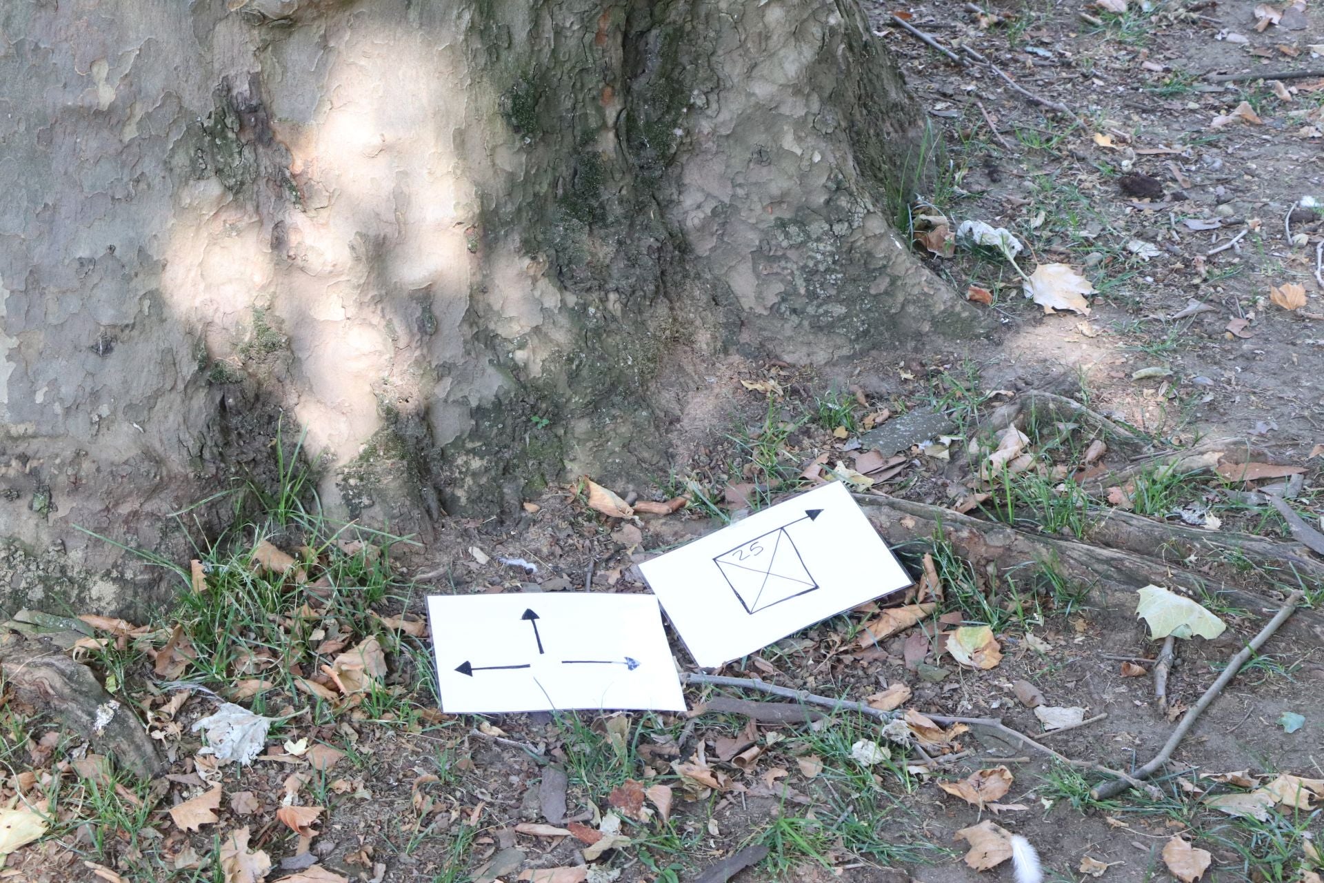 Así es un campamento urbano de León