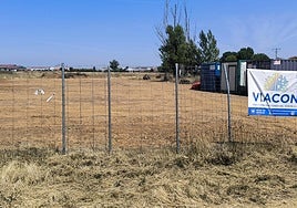 Espacio donde se ubicará el futuro camping.