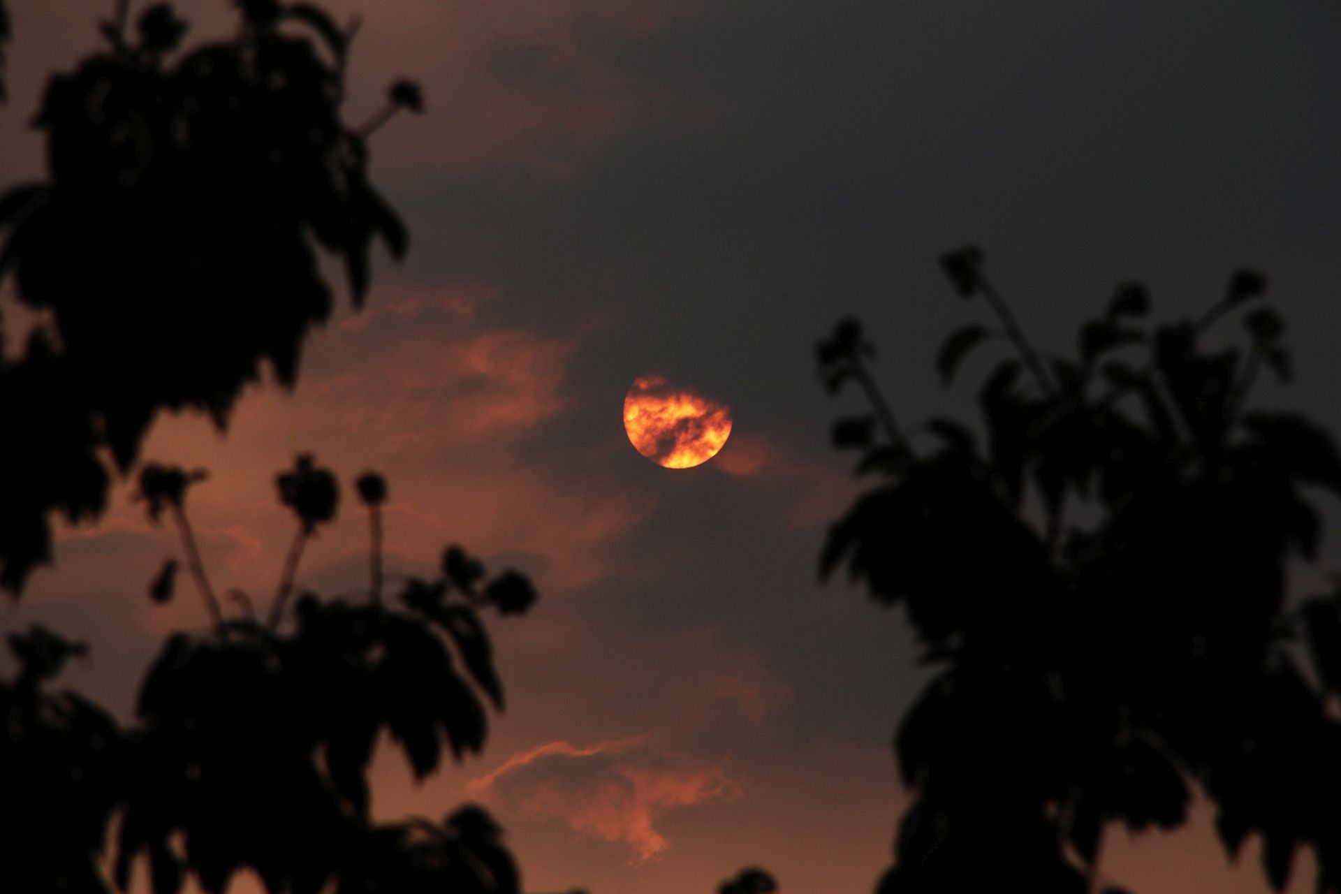 El humo de los incendios llega a León capital