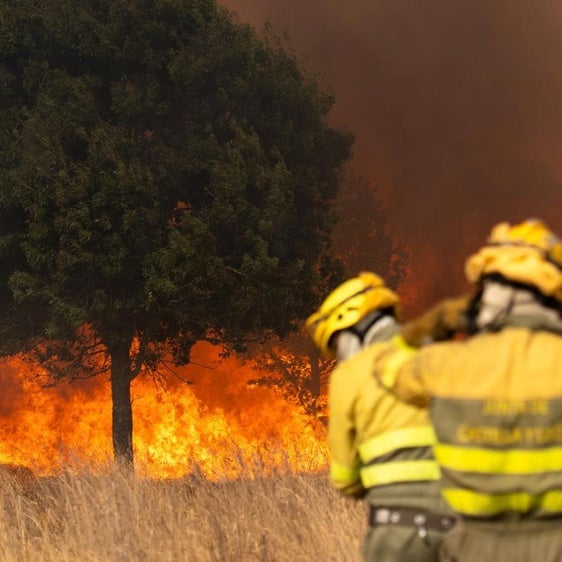 Así son los grandes incendios que calcinan León y El Bierzo