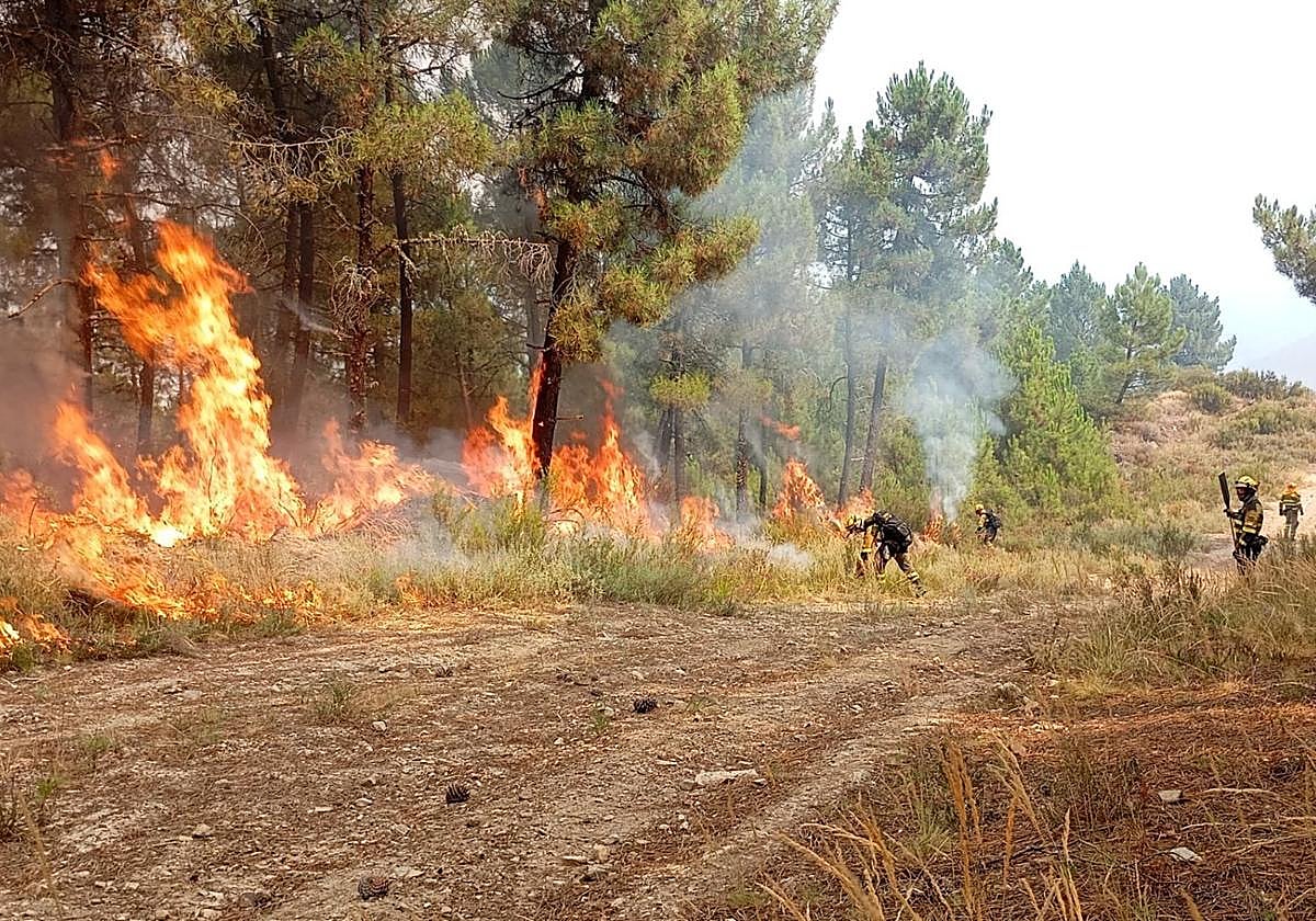 Efectivos de las brif luchan contra el fuego en Paradiña.