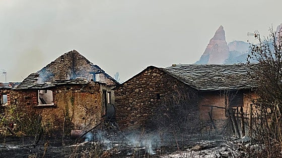 «Los servicios de extinción son muy buenos, pero la gestión forestal es muy mala»