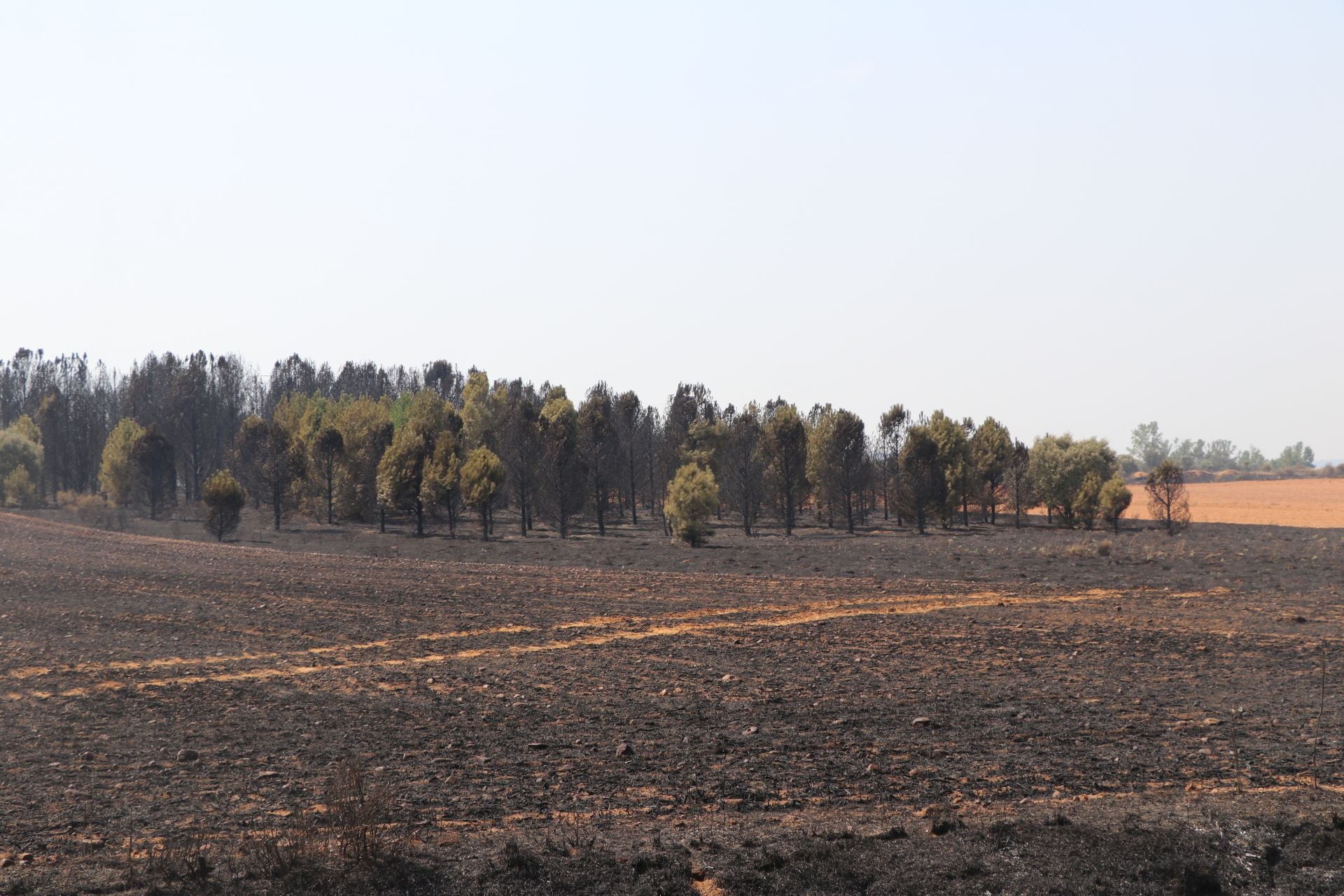 El Puesto de Mando Avanzado coordina la lucha contra el incendio de Castrocalbón