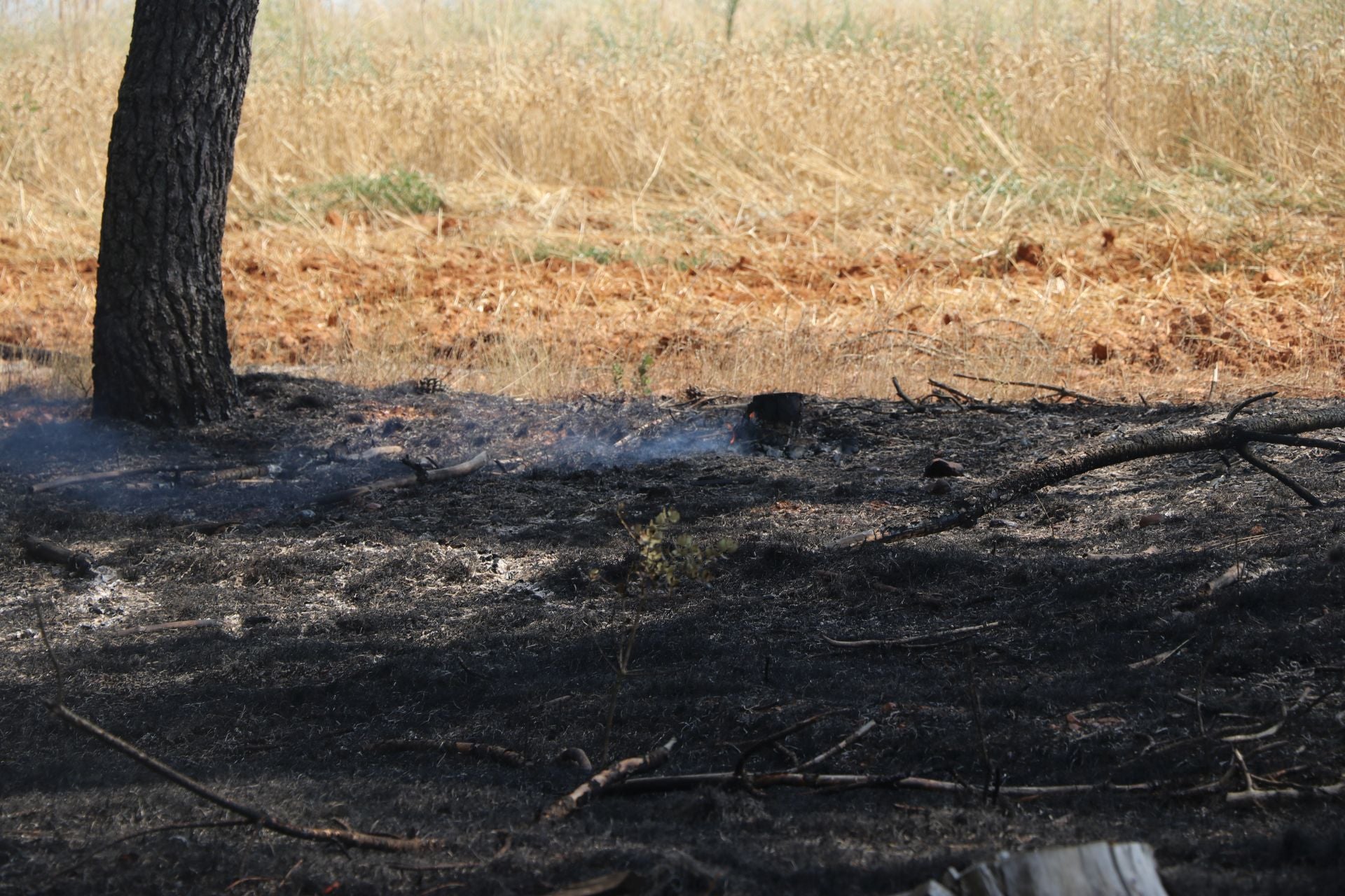 El Puesto de Mando Avanzado coordina la lucha contra el incendio de Castrocalbón