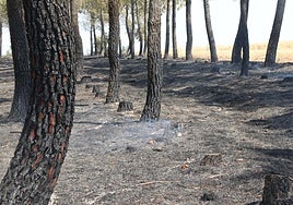Incendio de Castrocalbón.