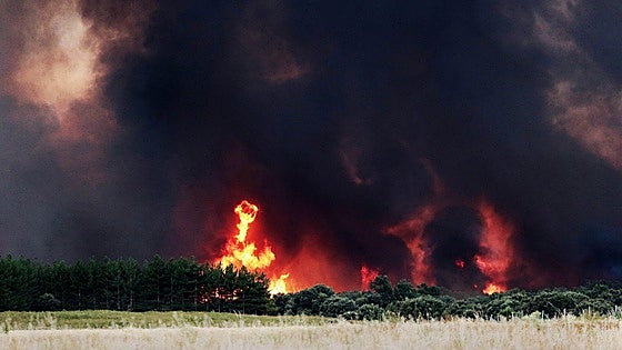 Pésame unánime en España por la víctima mortal en los incendios de León