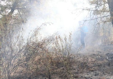 Cuatro personas permanecen en estado crítico por quemaduras en los incendios de León y Zamora