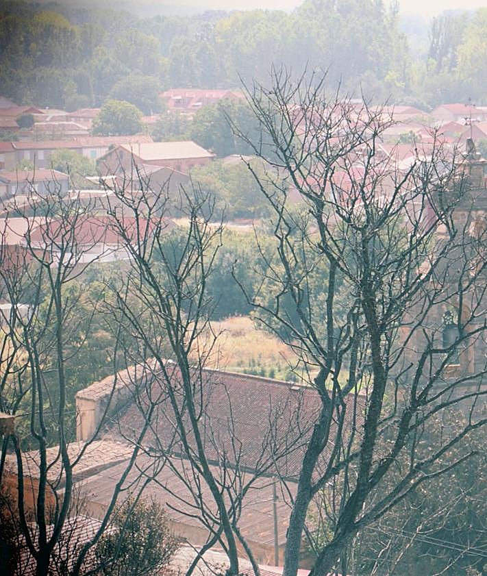 Imagen secundaria 2 - Vecinos contra las llamas en Castrocalbón.