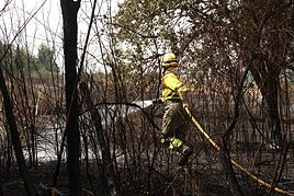 Un brigadista trabaja en el incendio de Barniedo.