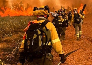 Los fuegos en León: «Son incendios fuera de la capacidad de cualquier operativo»