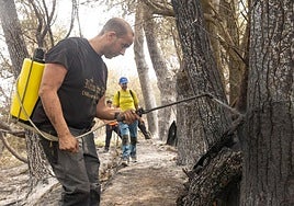 Incendio en la zona de Almanza.