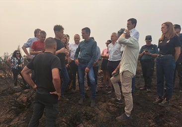 El Gobierno declarará zona catastrófica las áreas de León y El Bierzo afectadas por los incendios