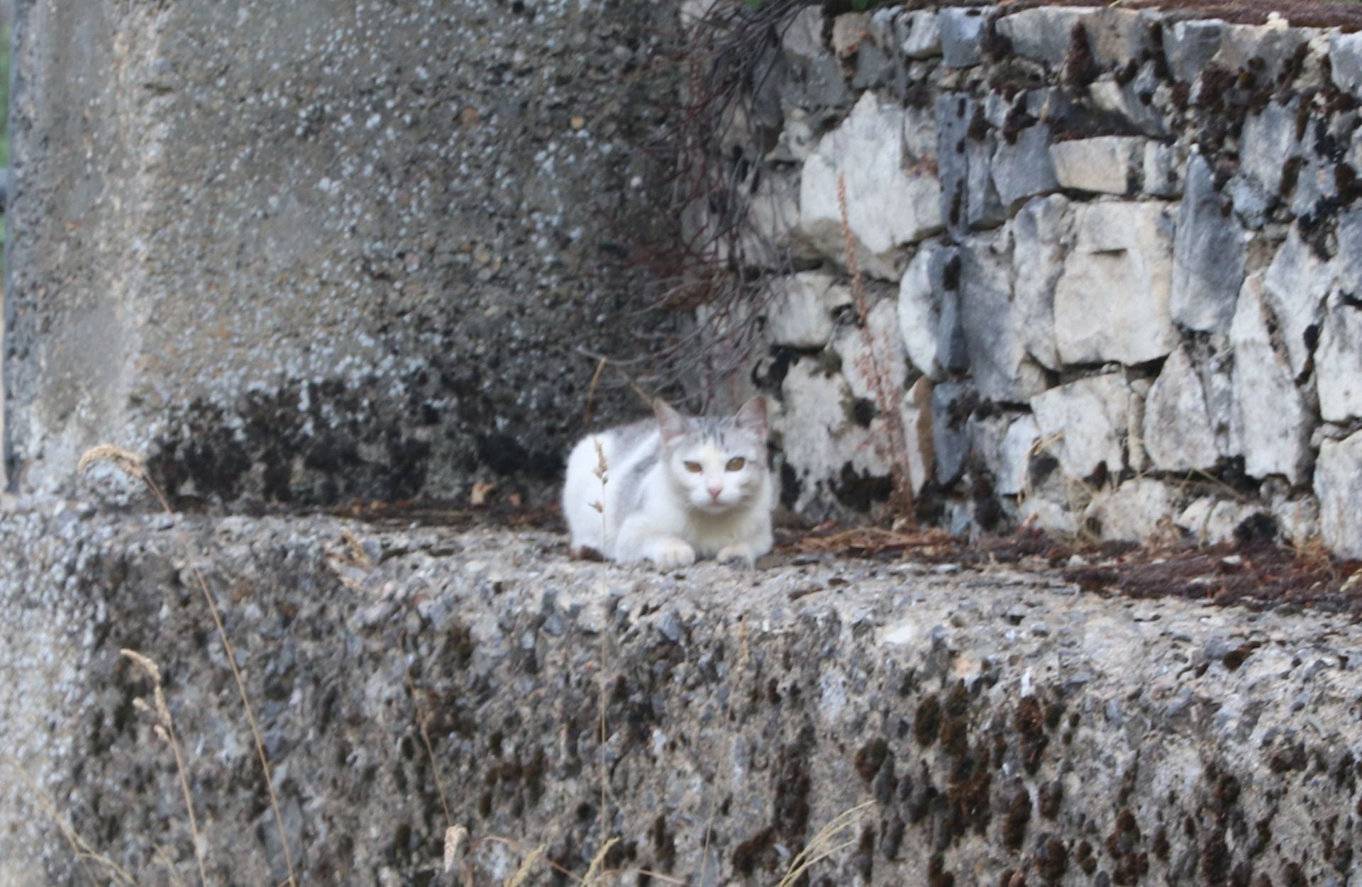 Doce días de fuego en Fasgar