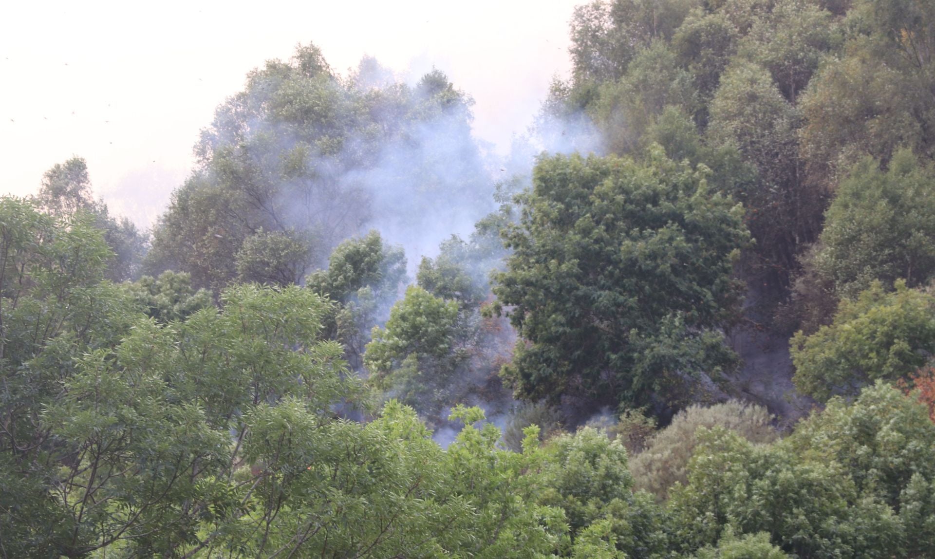 Doce días de fuego en Fasgar