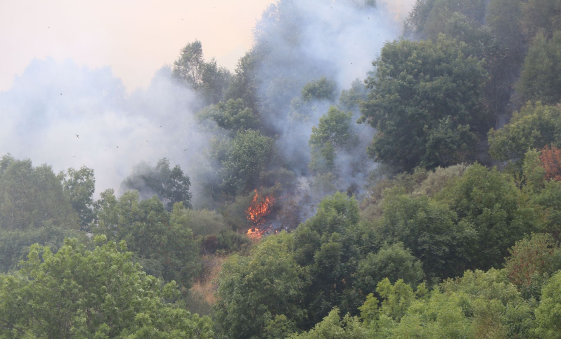 Doce días de fuego en Fasgar