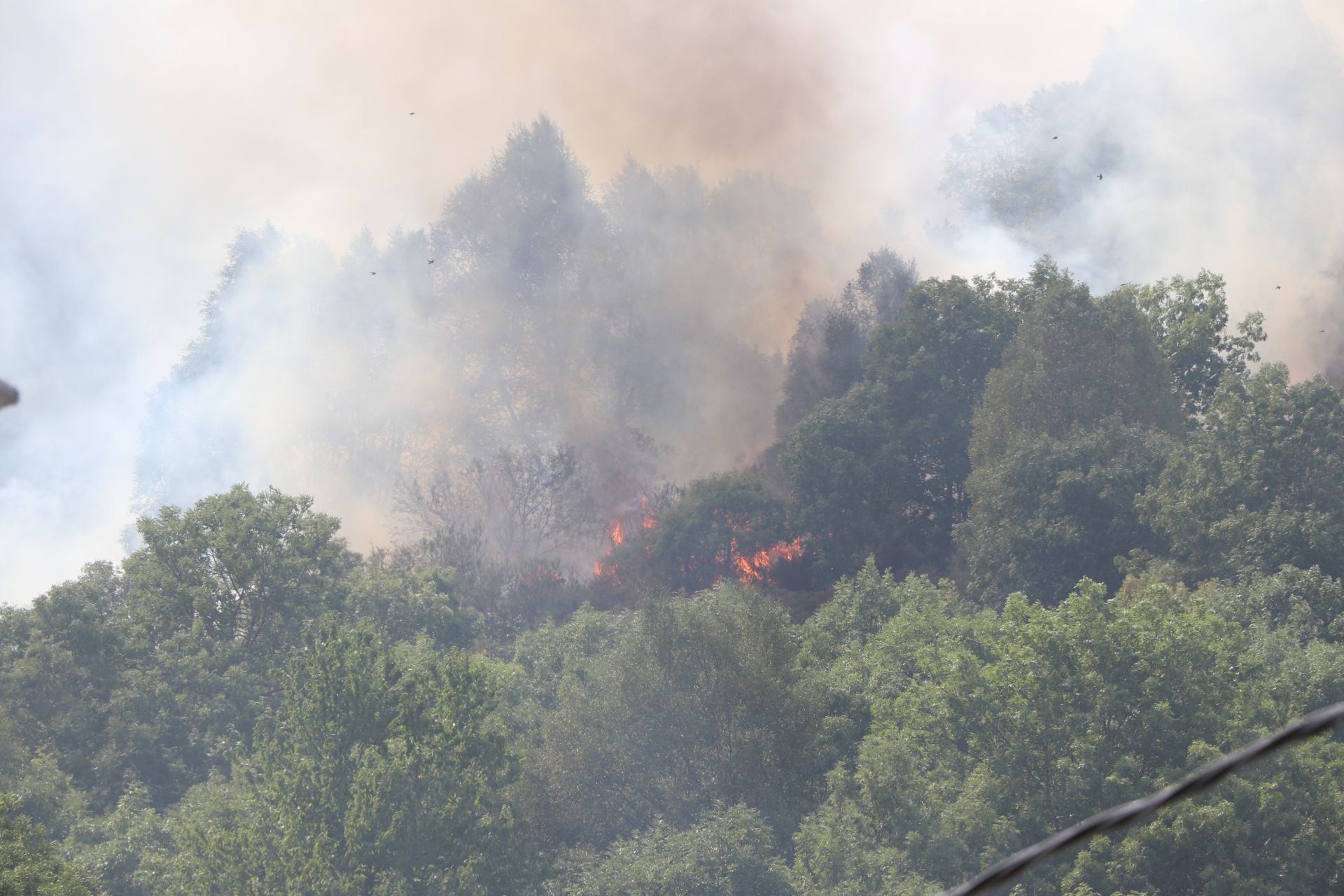Doce días de fuego en Fasgar