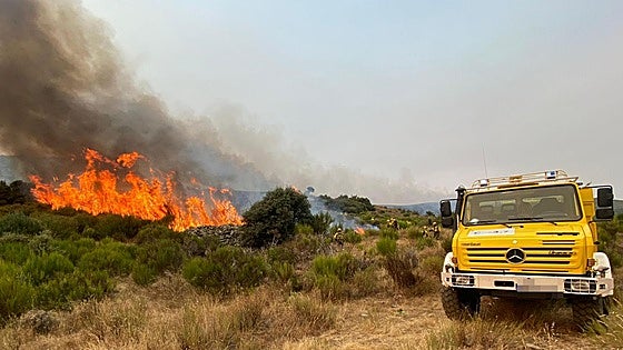 «No ha muerto en accidente, es fruto de la precariedad y forma de trabajar de la Junta»