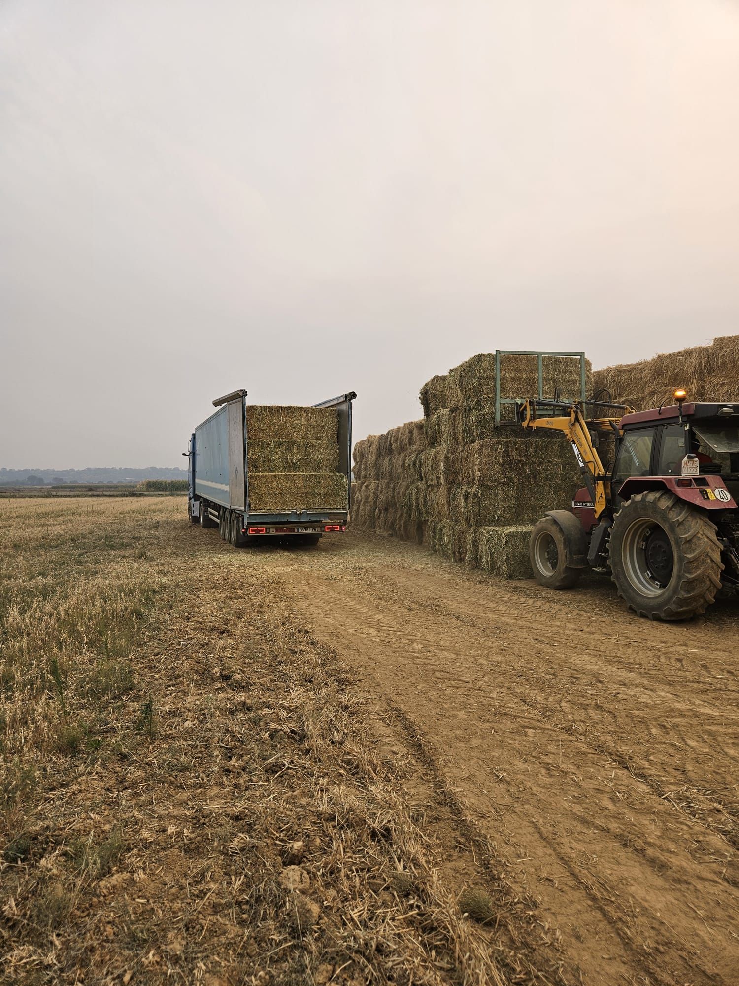 Transportistas y ganaderos solidarios rumbo a la Valdería