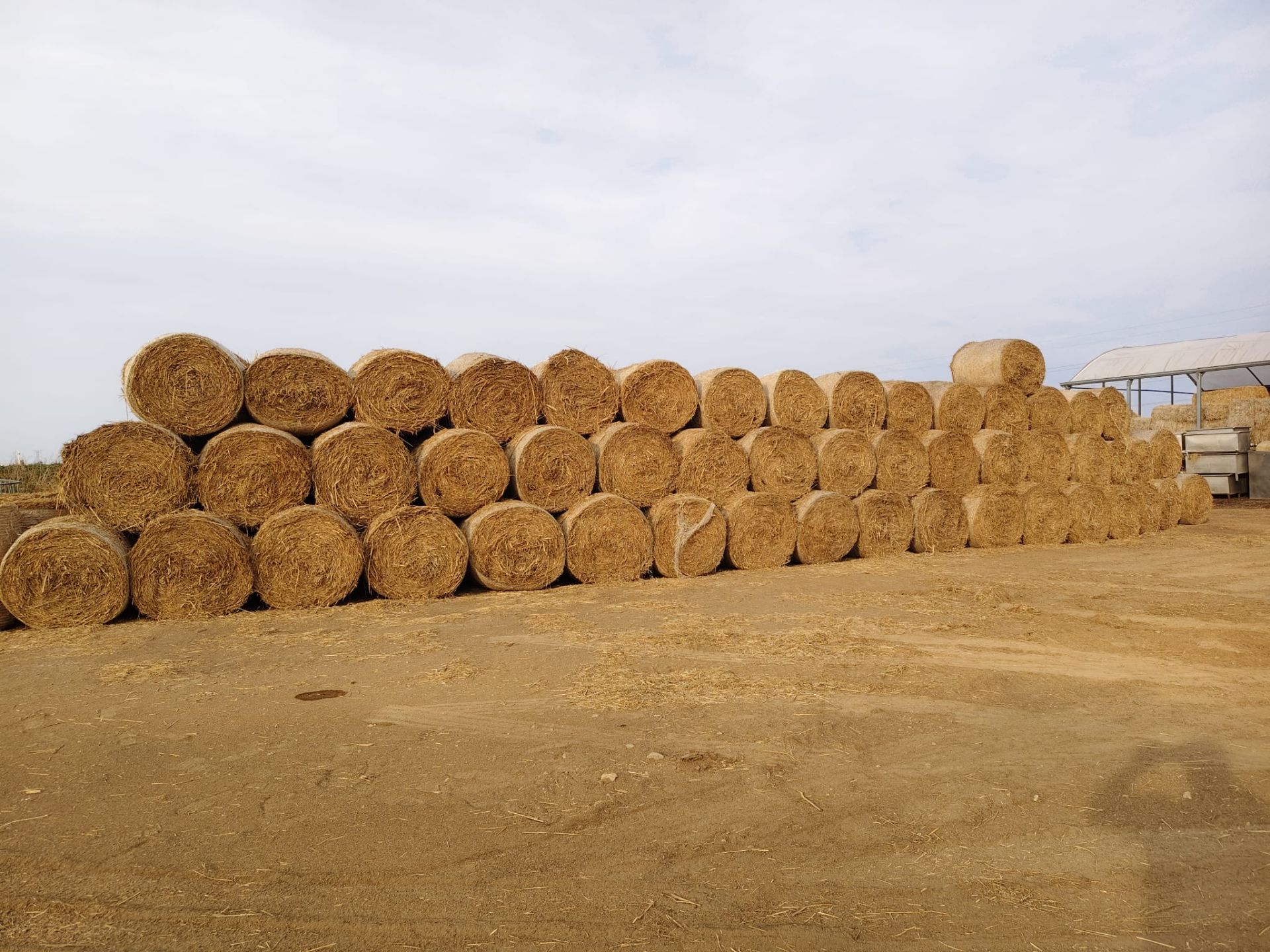 Transportistas y ganaderos solidarios rumbo a la Valdería