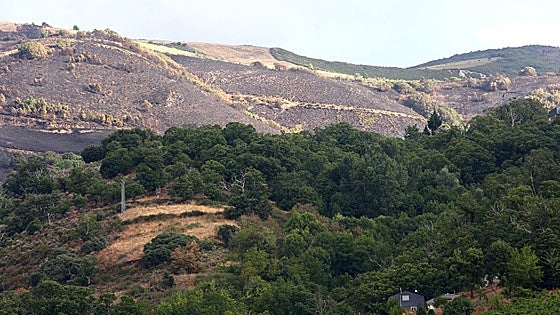 Otra jornada de «fresco» para aliviar la situación de los incendios en León