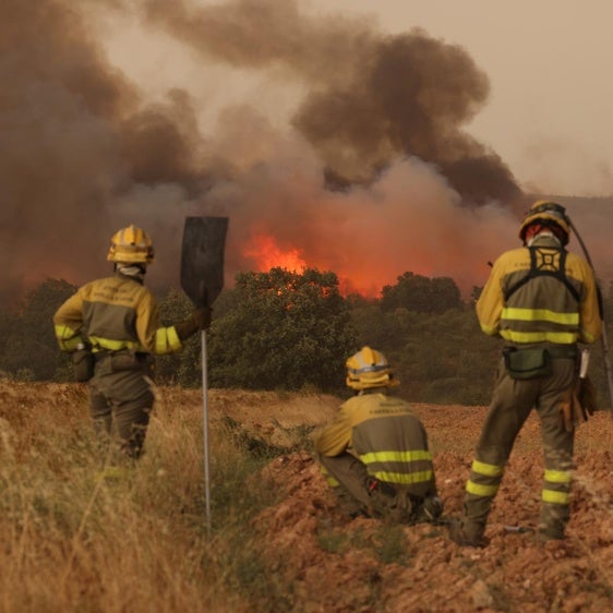 Un agosto en el infierno: el mapa de la «tormenta de incendios» que arrasa Castilla y León