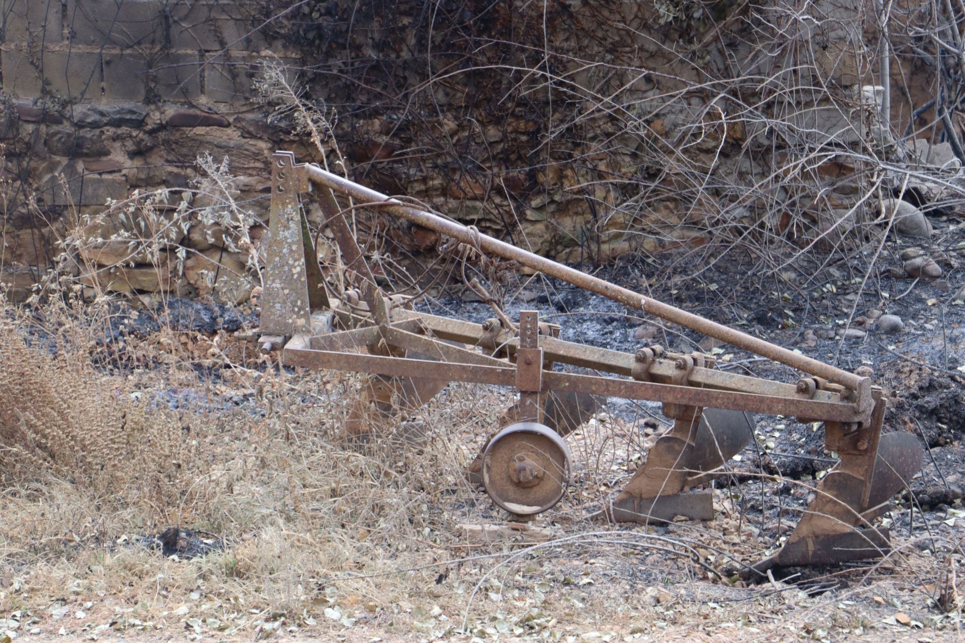Castrocalbón intenta levantarse tras un desolador incendio