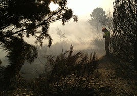 Bomberos de Ponferrada luchando contra los incendios forestales.