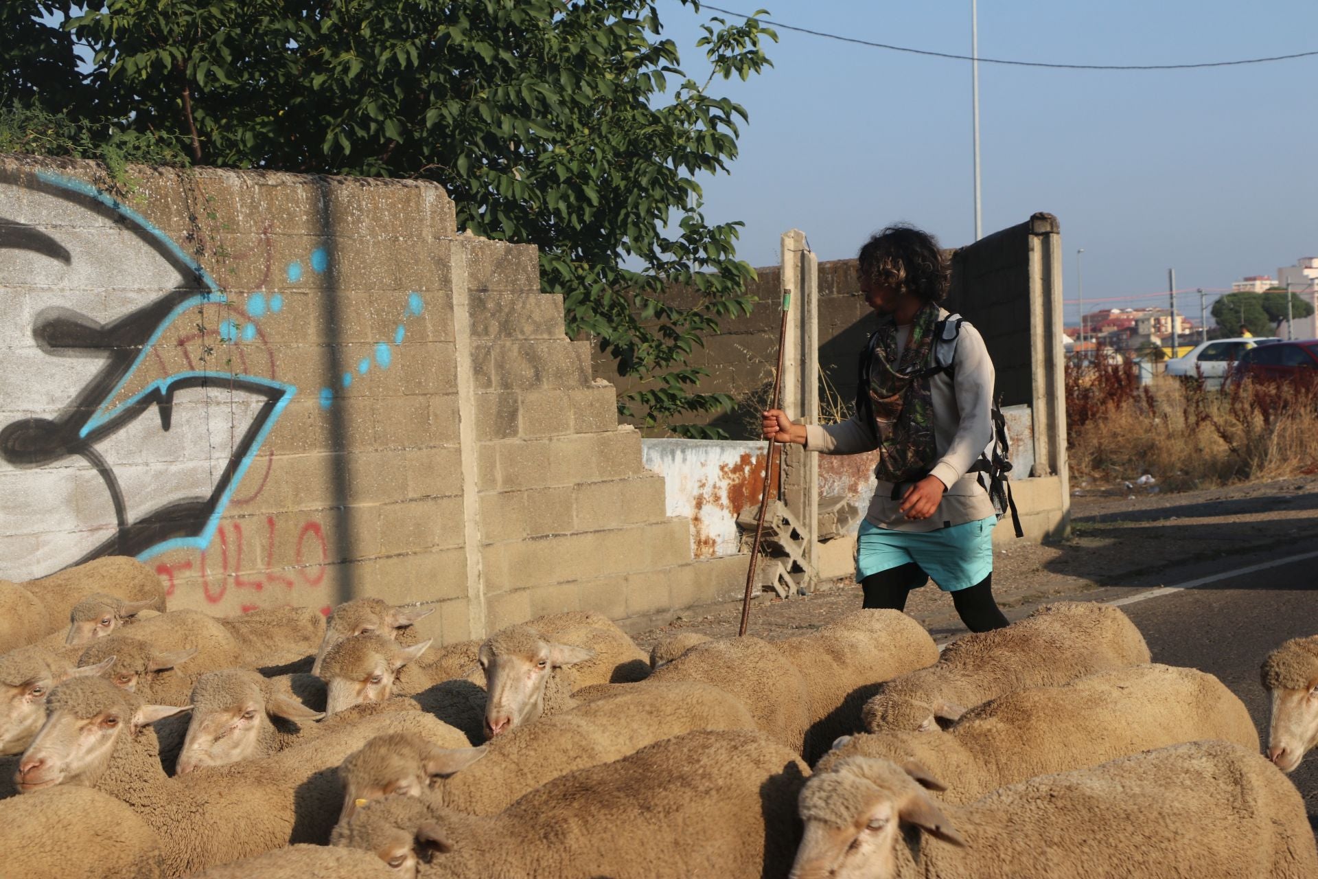 La trashumancia llega a León
