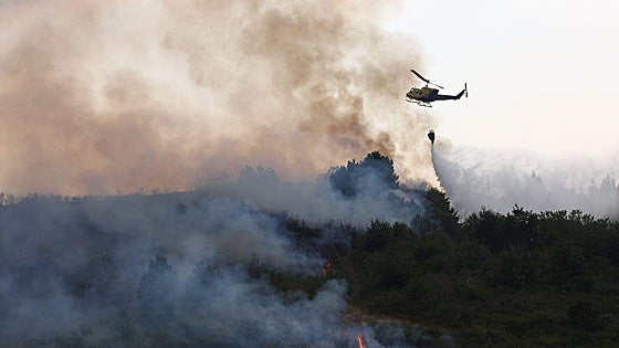 «Sería absurdo destinar todo a la extinción de incendios»
