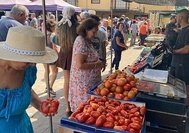 Mansilla se rinde al sabor de su tomate