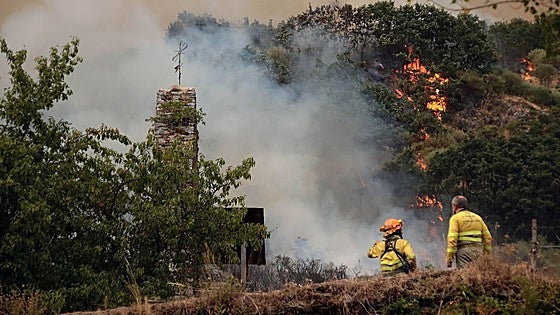 León enfrenta su mayor desastre: 114.000 hectáreas consumidas por incendios en tres semanas