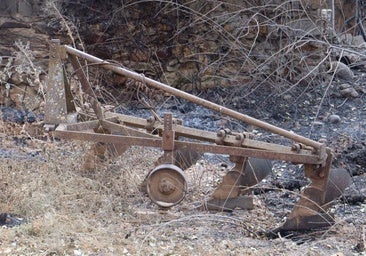 La Junta aprueba ayudas directas a 460 agricultores y ganaderos afectados por los incendios forestales