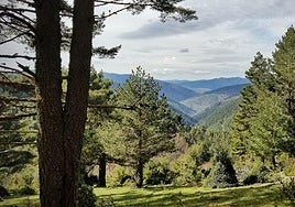 Imagen de un punto de un monte de Tierra de Pinares.