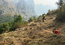Vecinos de Caín desbrozando el perímetro del pueblo para evitar que el fuego llegara a sus casas.