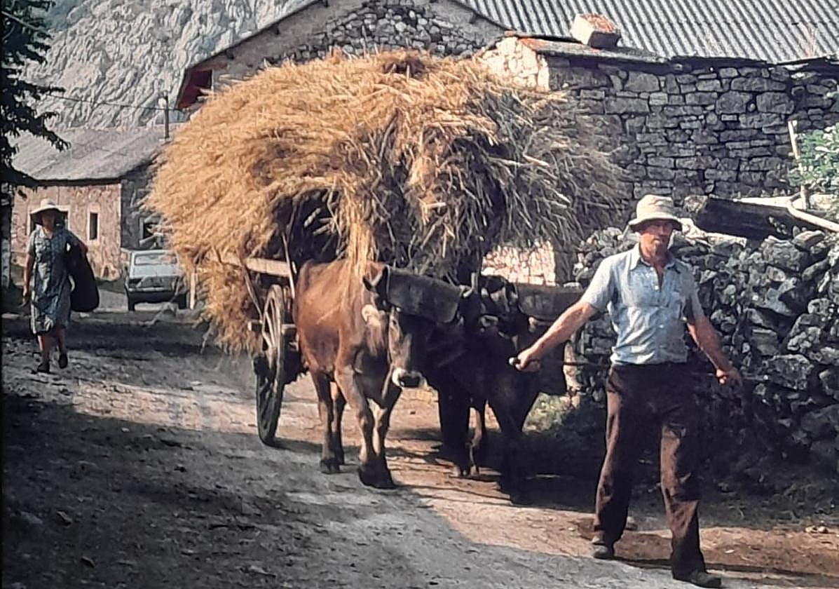Imágenes antiguas de Canseco.
