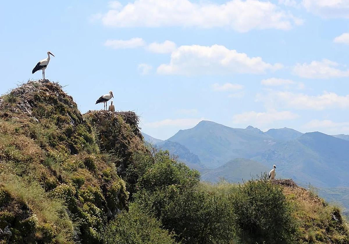 Una estación leonesa vuelve a estar entre las más frías del país
