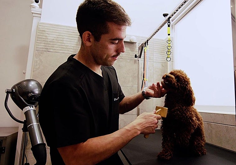 Peluquería canina Don perrín en el centro de León