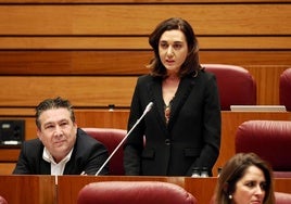 Alicia Gallego en el pleno de las Cortes.