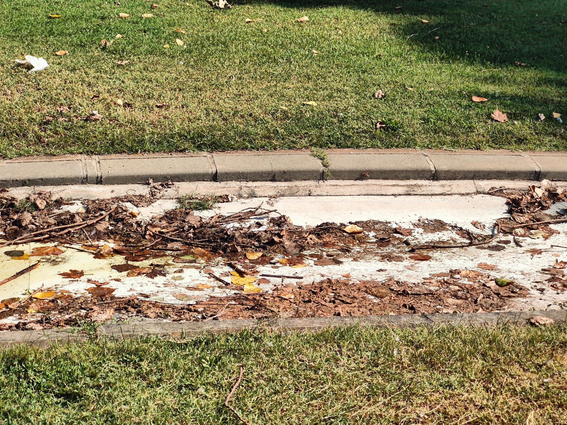 Las imágenes de la basura en el estanque del paseo Papalaguinda