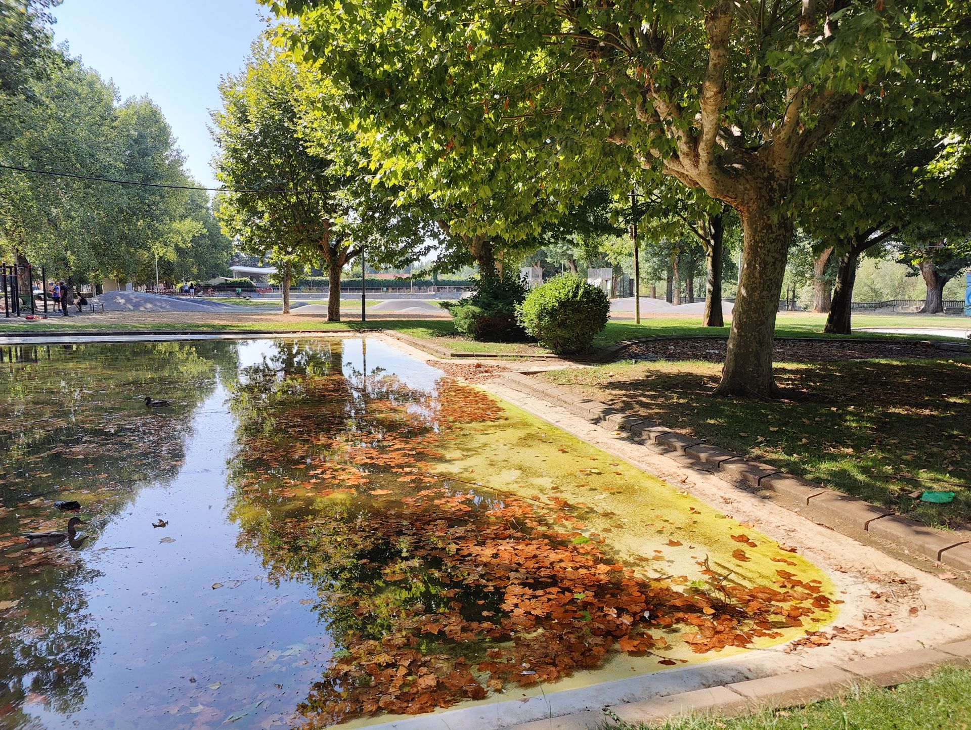 Las imágenes de la basura en el estanque del paseo Papalaguinda