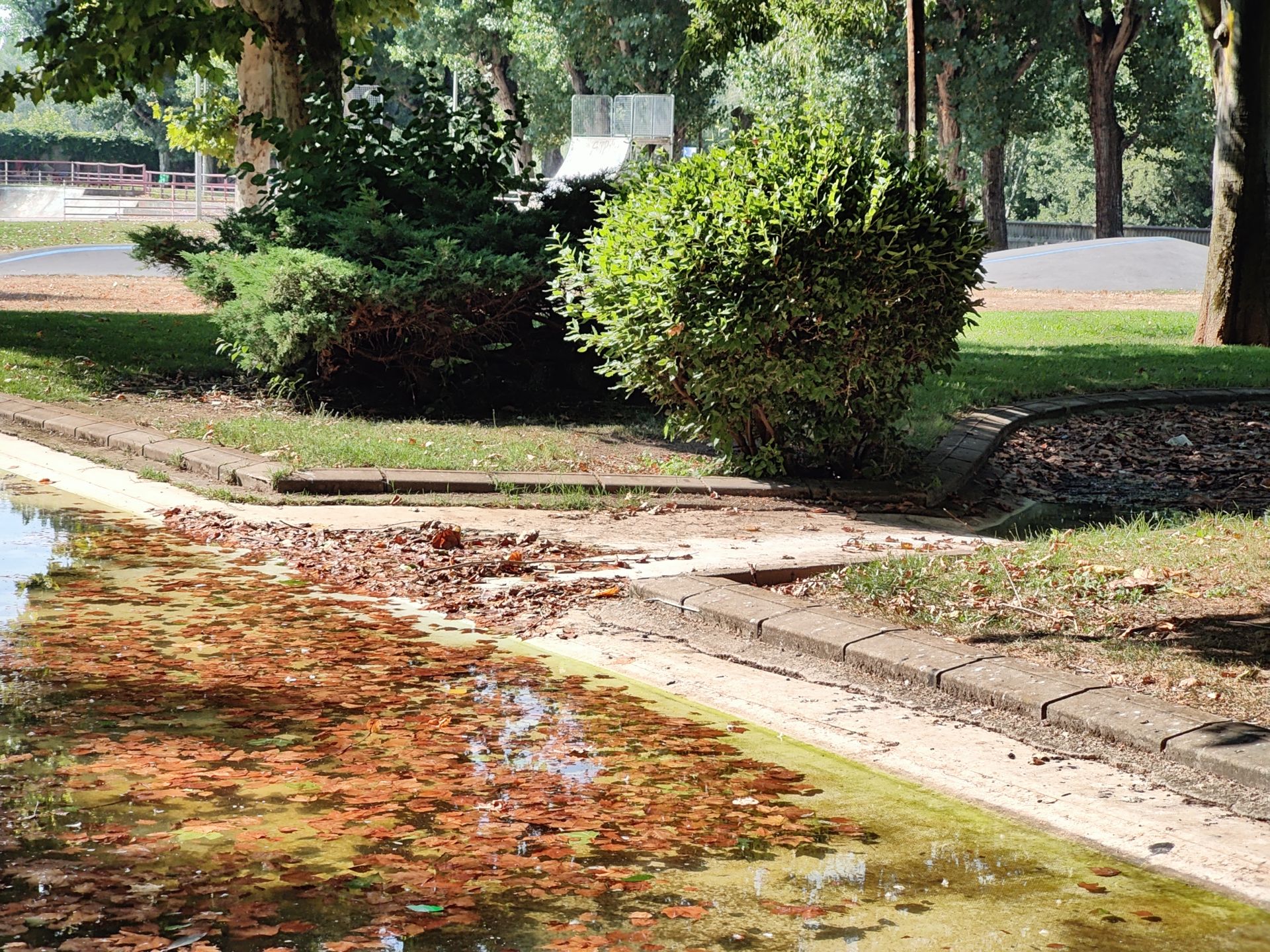 Las imágenes de la basura en el estanque del paseo Papalaguinda