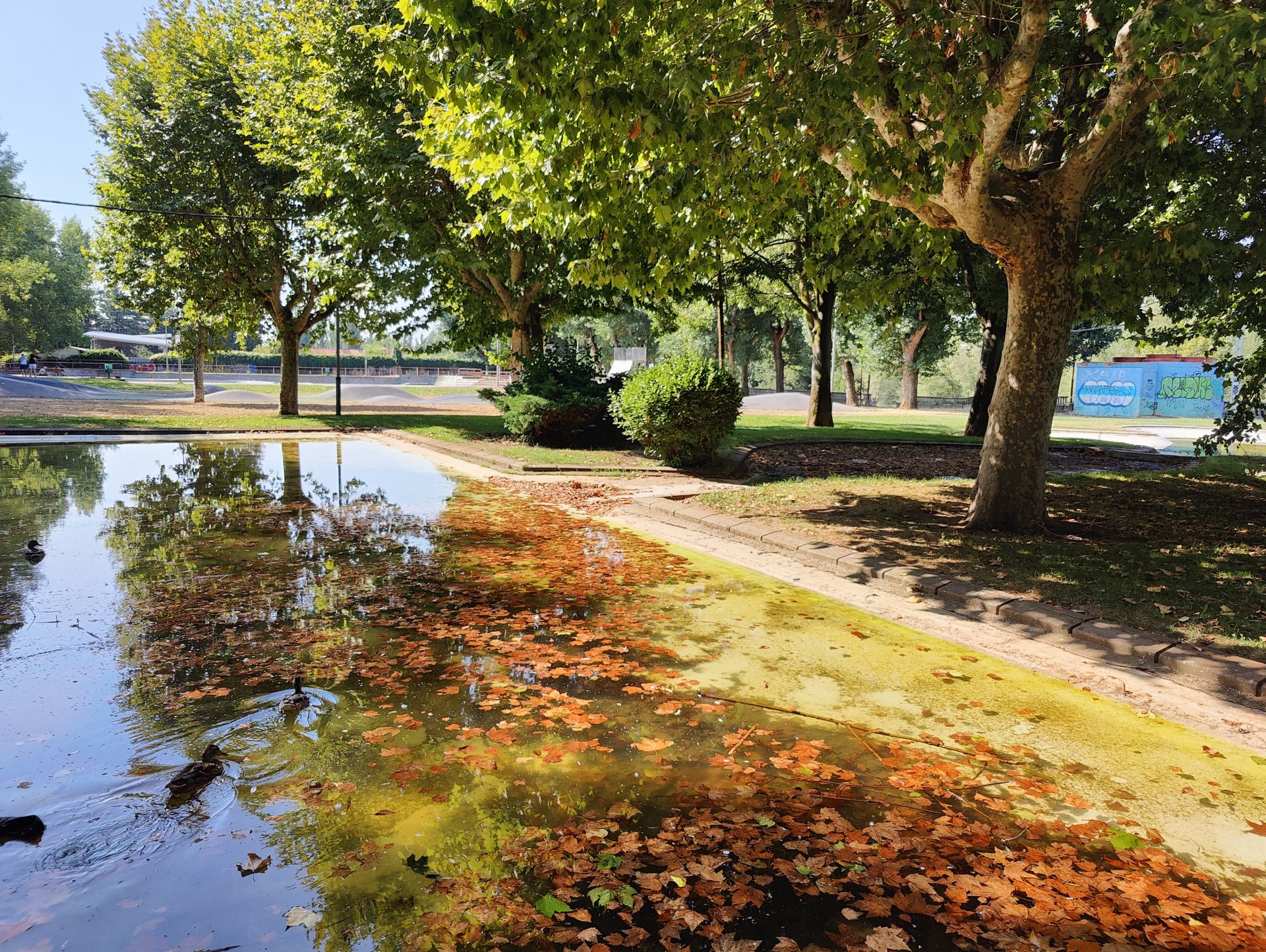 Las imágenes de la basura en el estanque del paseo Papalaguinda